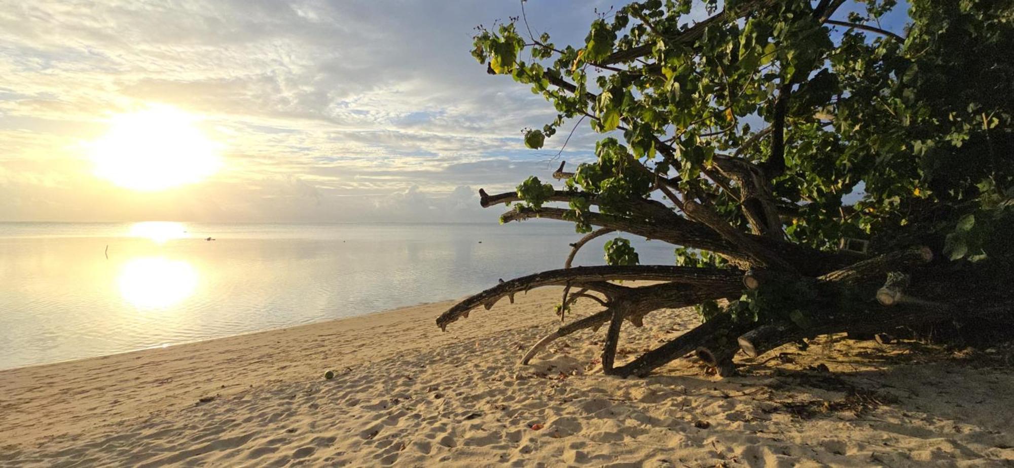 Villa Anahere Haapiti ภายนอก รูปภาพ